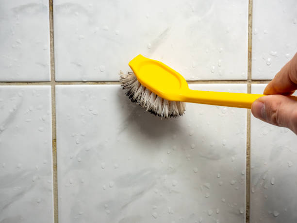 Professional Mold Remediation in Rice, TX