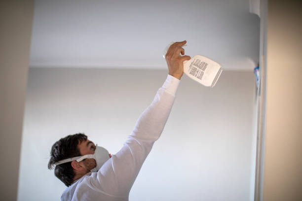 Best Bathroom Mold Remediation in Rice, TX