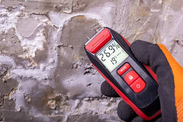 Best Kitchen Mold Remediation in Rice, TX